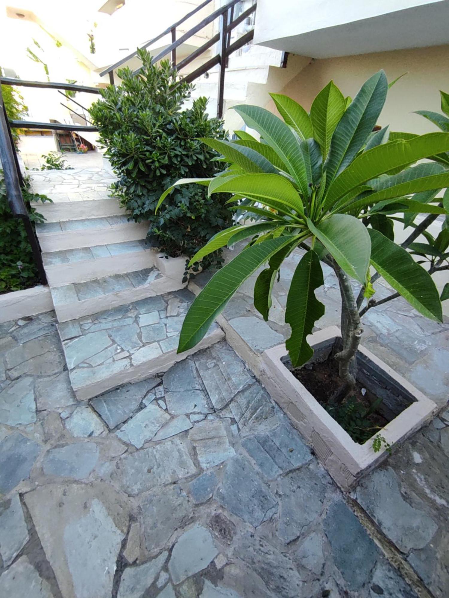 Dedalos N3 Sea View Apartment-30 Metres From The Beach Stalida المظهر الخارجي الصورة