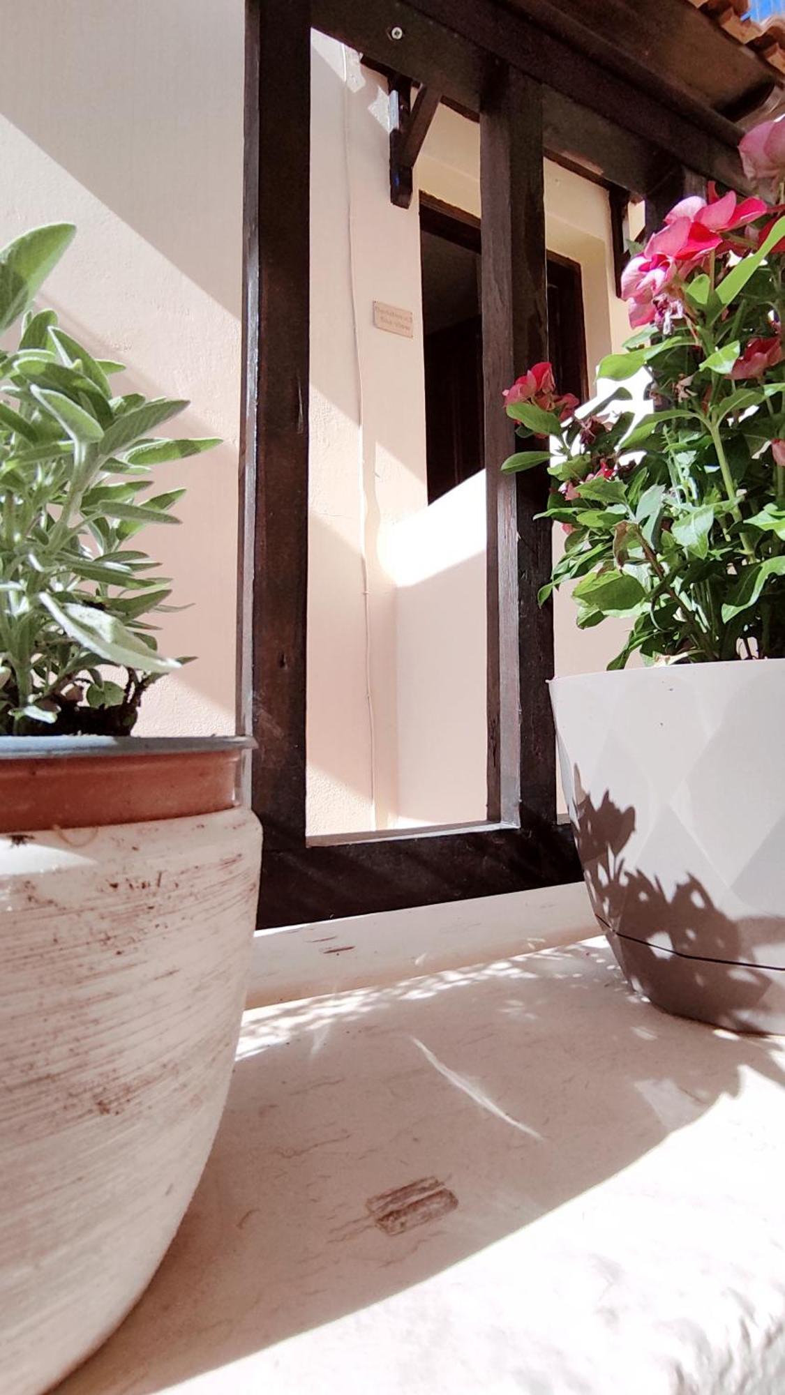 Dedalos N3 Sea View Apartment-30 Metres From The Beach Stalida المظهر الخارجي الصورة