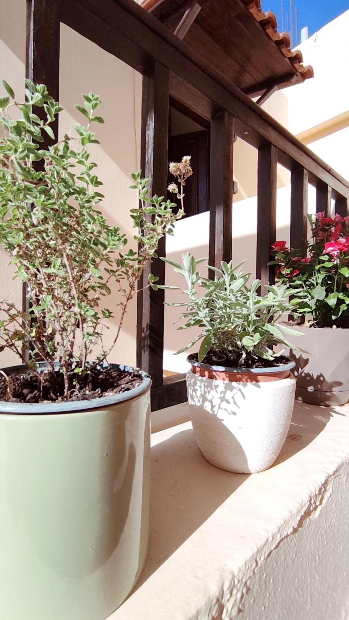 Dedalos N3 Sea View Apartment-30 Metres From The Beach Stalida المظهر الخارجي الصورة